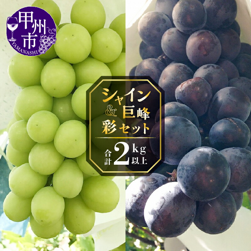 【ふるさと納税】 シャインマスカット 巨峰 各2房 2kg以上 セット 食べ比べ  種無し 厳選 旬 採れたて 期間限定 フルーツ 果物 くだもの 葡萄 ぶどう ブドウ 甘い デザート 新鮮 人気 山梨県産 甲州市産 甲州屋厳選 2025年発送 8月 9月 発送 社員マスカット 【C-151】