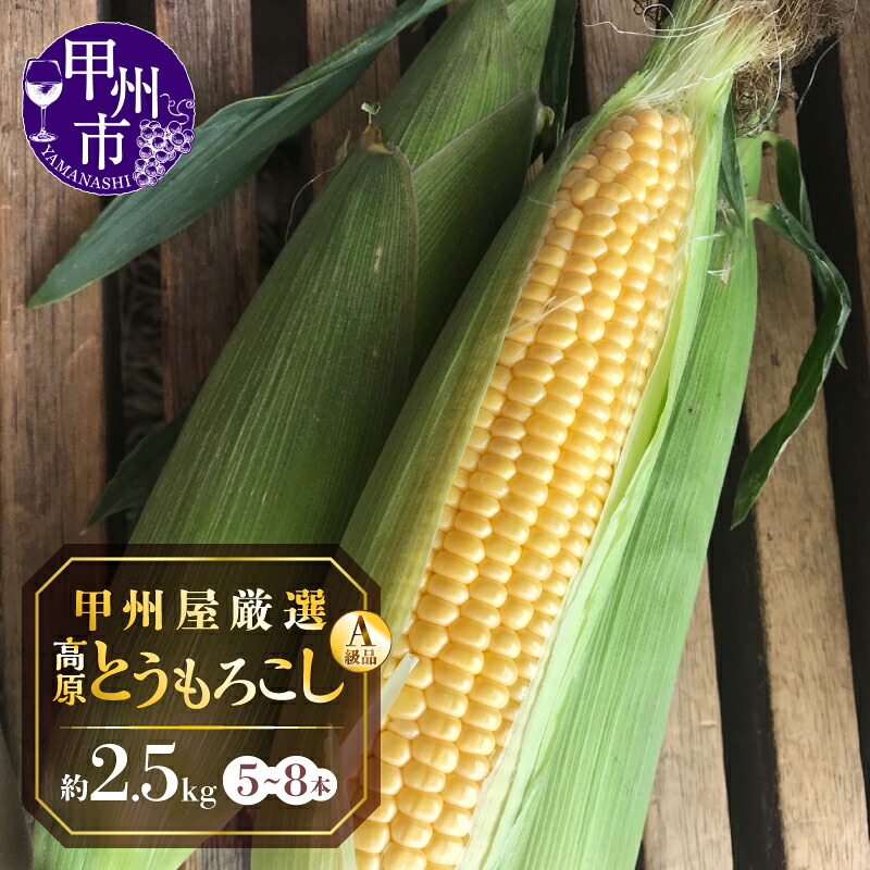 【ふるさと納税】 とうもろこし 2026年 先行予約 しあわせコーン ゴールドラッシュ A級品 約2.5kg 5～8本 L～3L 高原 契約農家産 新鮮 甘い 青果品 野菜類 甲州屋厳選 6月 7月 8月 発送 甲州市 【B-141】