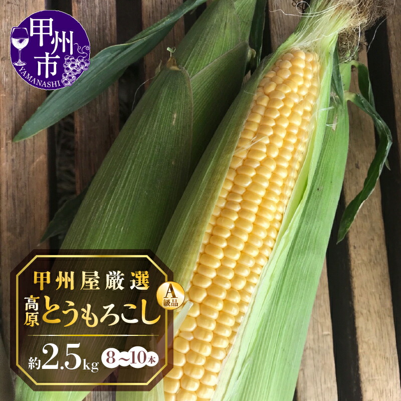 【ふるさと納税】 とうもろこし しあわせコーン ゴールドラッシュ A級品 約2.5kg 8～10本 L～3L 高原 契約農家産 新鮮 甘い 青果品 野菜類 甲州屋厳選 2025年発送 6月 7月 発送 甲州市 【B-141】