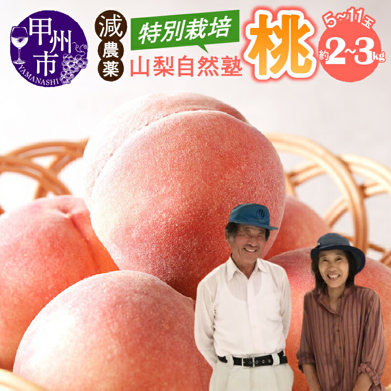 【ふるさと納税】 桃 選べる内容量 約2kg～約3kg 5～11玉 果物 フルーツ もも 果実 2026年発送 白鳳系 白桃系 特別栽培 モモ 新鮮 産地直送 期間限定 数量限定 6月 7月 8月 発送 贈答 家庭用 ギフト 自然塾 山梨 甲州市 （YSGK）｜山梨県甲州市