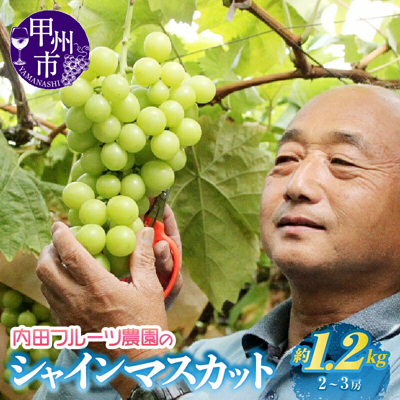 【ふるさと納税】 シャインマスカット 2～3房 約1.2kg 果物 甲州市 フルーツ 2025年発送 農家産地直送便 内田フルーツ農園 葡萄 ぶどう くだもの 旬 人気 山梨 勝沼 美味しい 新鮮 おすすめ 期間限定 数量限定 贈答 ギフト 8月 9月 10月 社員マスカット （UF）【B-164】