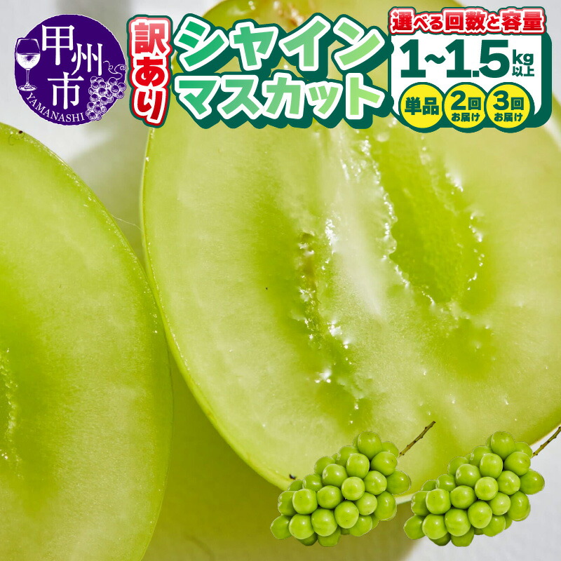 【ふるさと納税】 シャインマスカット 訳あり 選べる 容量 1kg 1.5kg 2～6房 果物 定期便 回数 2回 3回 期間限定 2025年発送 8月 9月 10月 発送 冷蔵 クール便 山梨県 甲州市 くだもの フルーツ 葡萄 ぶどう 産地直送 甘い 果実 新鮮 フードロス 人気 社員マスカット (AGB)