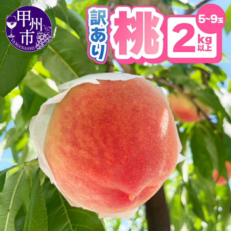 【ふるさと納税】 桃 訳あり 2kg以上 5～9玉 果物 2025年発送 クール便 山梨県 甲州市 もも くだもの ピーチ フルーツ 新鮮 人気 フードロス 家庭用 自宅用 わけあり 期間限定 数量限定 白鳳系 白桃系 6月 7月 8月 発送 冷蔵  (AGB) 【A09-876】