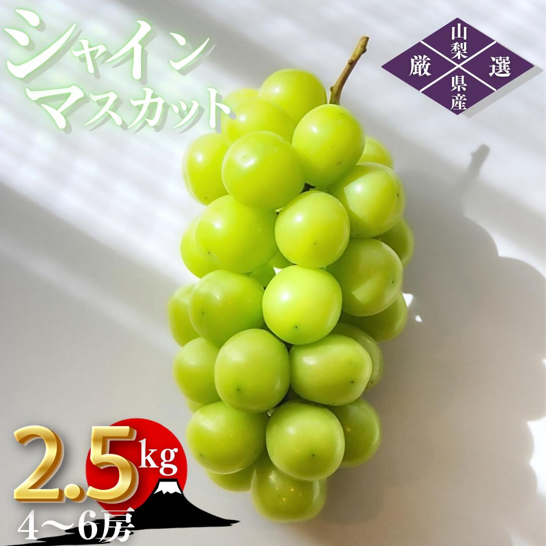【ふるさと納税】 シャインマスカット 約2.5kg 4～6房 2026年発送 産地直送 甲州市産 マスカット ぶどう 葡萄 ブドウ 厳選 旬 採れたて 新鮮 果物 くだもの フルーツ 数量限定 期間限定 8月 9月 10月 発送 ギフト 贈答 （ORJ） 【C5-801】