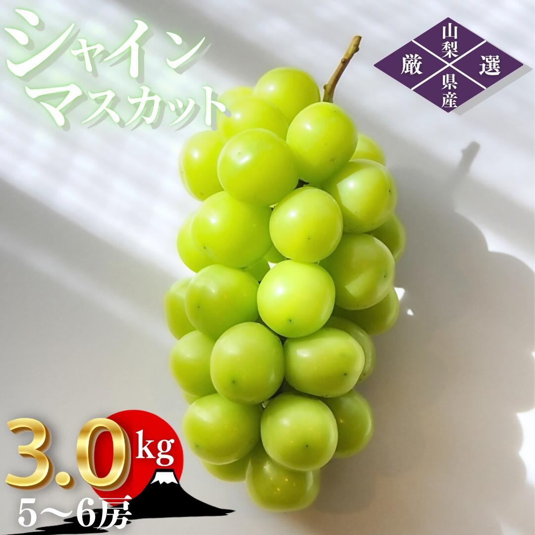【ふるさと納税】 シャインマスカット 約3kg 5～6房 2026年発送 産地直送 甲州市産 マスカット ぶどう 葡萄 ブドウ 厳選 旬 採れたて 新鮮 果物 くだもの フルーツ 数量限定 期間限定 8月 9月 10月 発送 ギフト 贈答 （ORJ） 【C5-802】