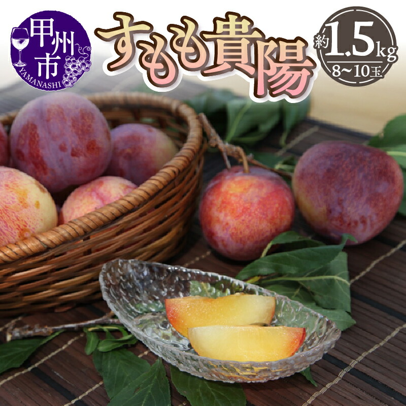 【ふるさと納税】 すもも 貴陽 約1.5kg 8～10玉 果物 甲州市産 2025年発送 山梨 厳選 産地直送 プラム スモモ フルーツ 7月下旬～8月下旬 発送 （THR） 【B13-810】