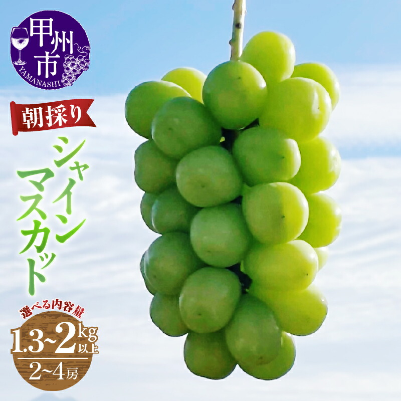 【ふるさと納税】 シャインマスカット 2房～4房 選べる 内容量 1.3kg以上 2kg以上 果物 山梨 甲州市産 期間限定 9月 10月 11月 発送 2025年発送 朝採り 人気 厳選 フルーツ ぶどう 葡萄 果実 くだもの マスカット 社員マスカット 農家直送 (ABE)