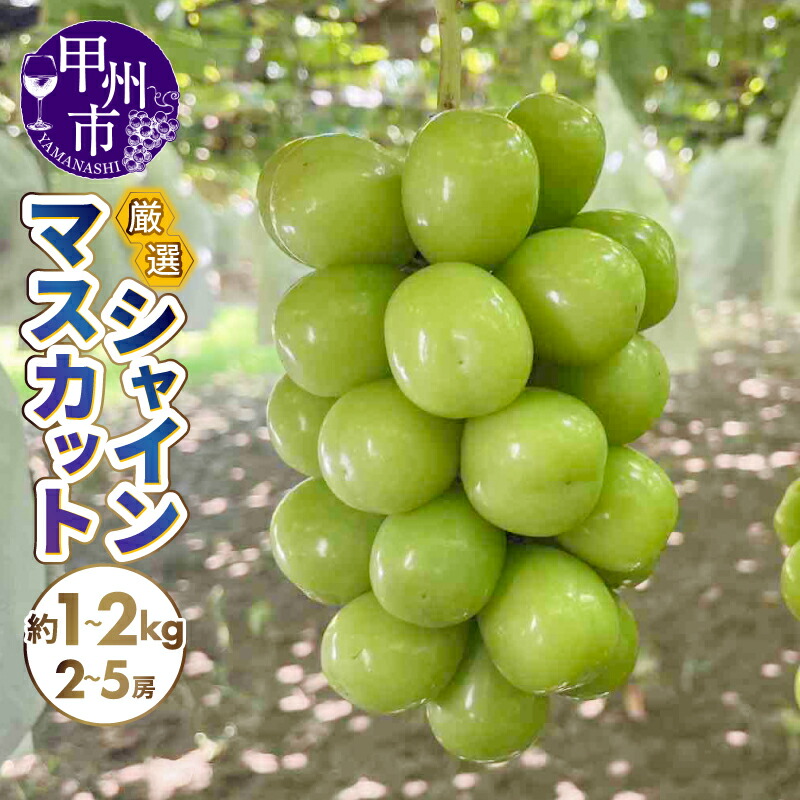 【ふるさと納税】 シャインマスカット 2026年発送 選べる 内容量 約1kg 約1.2kg 約1.5kg 約2kg 2房～5房 果物 ぶどう 葡萄 ブドウ フルーツ くだもの 旬 新鮮 甘い 厳選 人気 プレゼント 贈答 ギフト 期間限定 数量限定 8月 9月 10月 発送 山梨県 甲州市 （SFN）｜山梨県甲州市