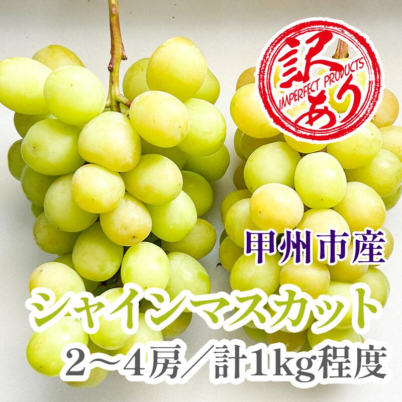 【ふるさと納税】 訳あり シャインマスカット 2026年発送 約1kg 2~4房 冷蔵 クール便 期間限定 9月 10月 発送 果物 ぶどう 葡萄 ブドウ くだもの フルーツ 数量限定 人気 山梨 旬 クール 果実 贈答 ギフト 山梨県 甲州市 社員マスカット (KFT) 【A08-1810】|山梨県甲州市