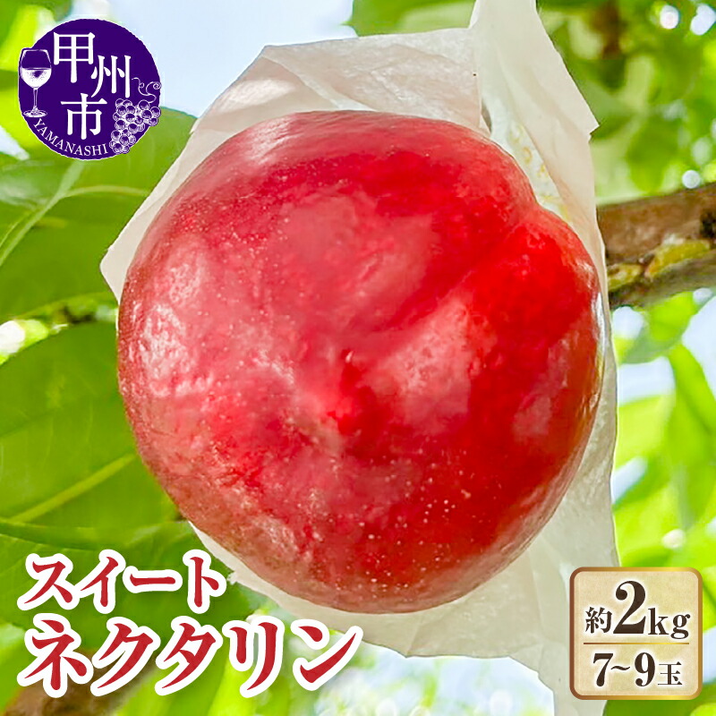 【ふるさと納税】 スイートネクタリン 2026年発送 先行予約 約2kg 7~9玉 冷蔵 ネクタリン 桃 果物 もも 毛無 7月 8月 発送 クール便 期間限定 数量限定 くだもの フルーツ モモ 山梨 旬 クール 果実 贈答 ギフト 山梨県 甲州市 (KFT) 【B13-1810】