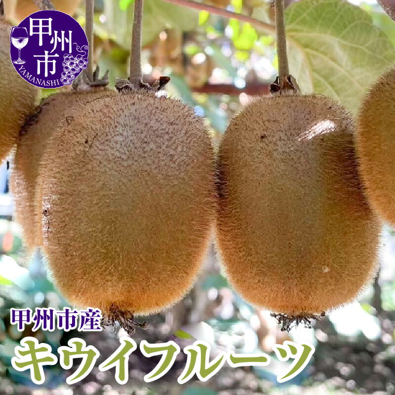 【ふるさと納税】 キウイフルーツ キウイ 果物 約1kg 期間限定 数量限定 12月 1月 2月 発送 2025年発送 2026年発送 フルーツ 果実 くだもの 追熟 贈答 ギフト クール 冷蔵 クール便 山梨県 甲州市 （KFT） 【A09-1810】