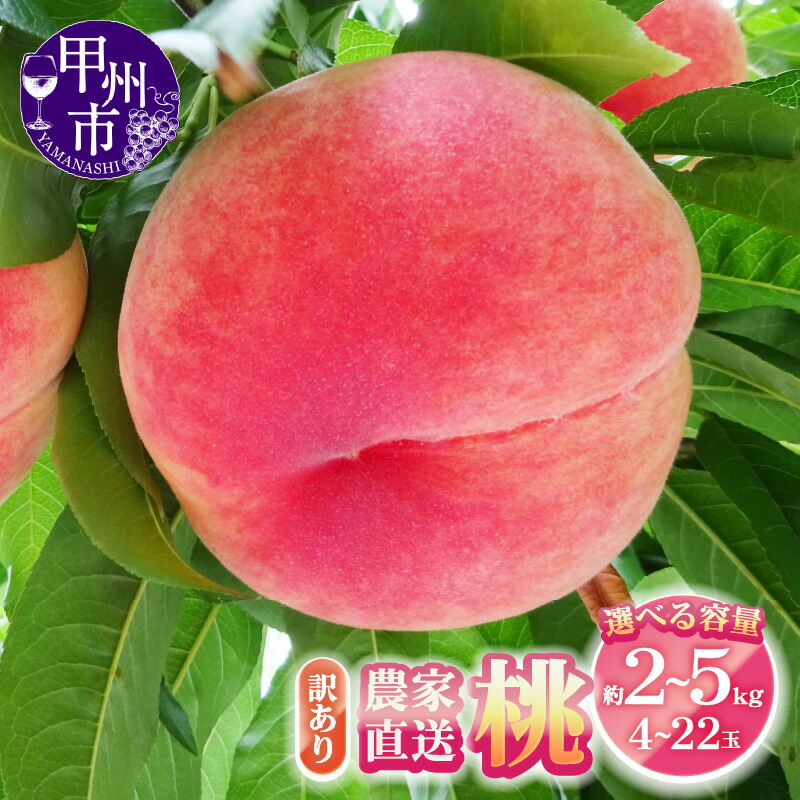 【楽天市場】【ふるさと納税】 訳あり 桃 2026年 発送 選べる 内容量 約2kg 約3kg 約5kg 4~22玉 厳選 新鮮 農家直送 6 ...