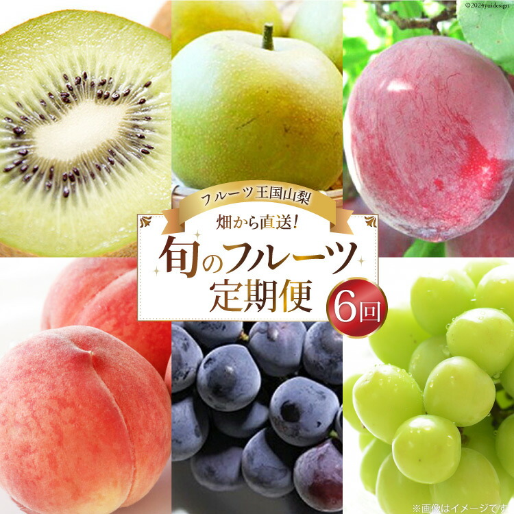 【ふるさと納税】【先行受付】【6回 定期便】 フルーツ王国 山梨県産 6種セット [えべし 山梨県 中央市 21470866] フルーツ 果物 くだもの すもも もも 桃 梨 なし ぶどう シャインマスカット キウイ