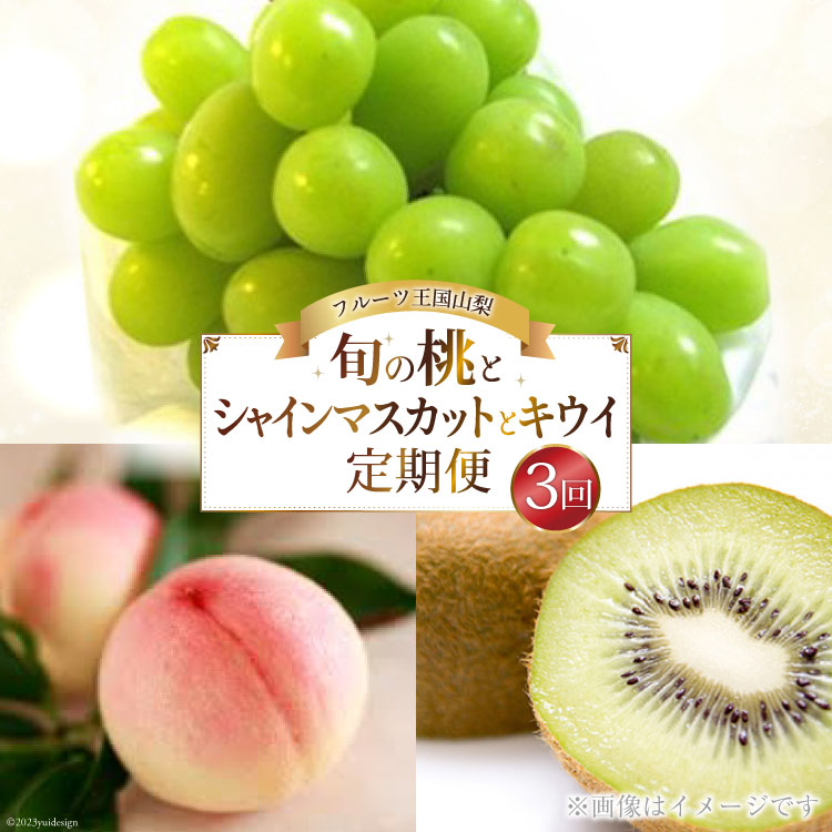 【ふるさと納税】【先行受付】【3回 定期便 】山梨県産 フルーツ 『 桃 2kg & シャインマスカット 1.8kg & キウイフルーツ 1.5kg』 [ えべし 山梨県 中央市 21470867] 果物 くだもの もも マスカット キウイ