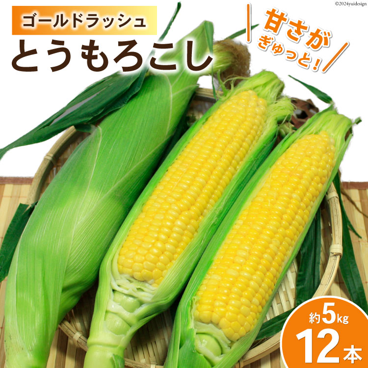 【ふるさと納税】【期間限定発送】 野菜 とうもろこし ( ゴールドラッシュ ) 12本入 約5kg [笛吹農業協同組合 山梨県 中央市] やさい トウモロコシ コーン 甘い スイートコーン 季節限定 期間限定 【2025年6月上旬～6月下旬発送予定】