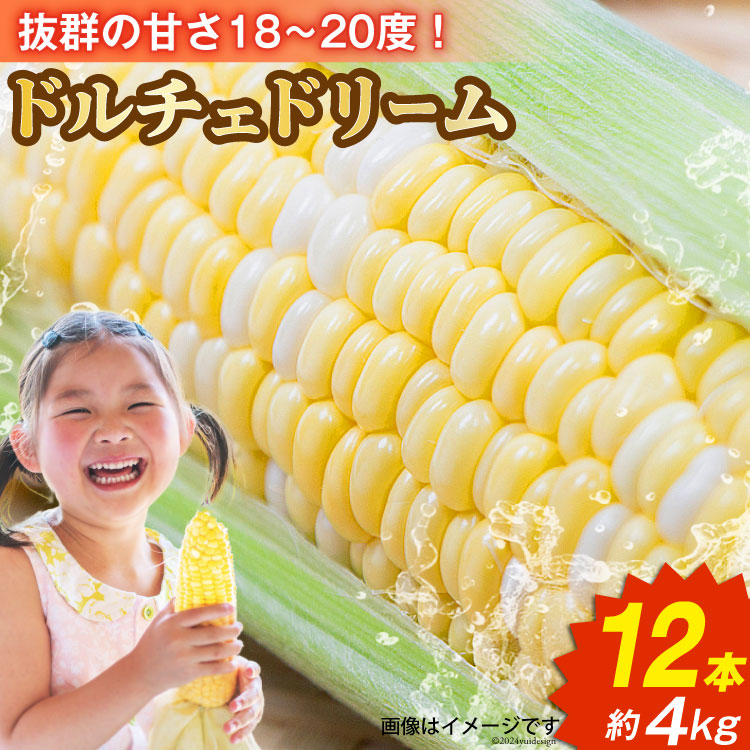 【ふるさと納税】【2025年発送】『魅惑のとうもろこし』 ドルチェドリーム × 12本 約4kg [メディアブレインアグリエール 山梨県 中央市 21470903] とうもろこし 野菜 トウモロコシ スイートコーン コーン 甘い 朝採り 大粒 新鮮 【2025年6月上旬～6月下旬発送予定】