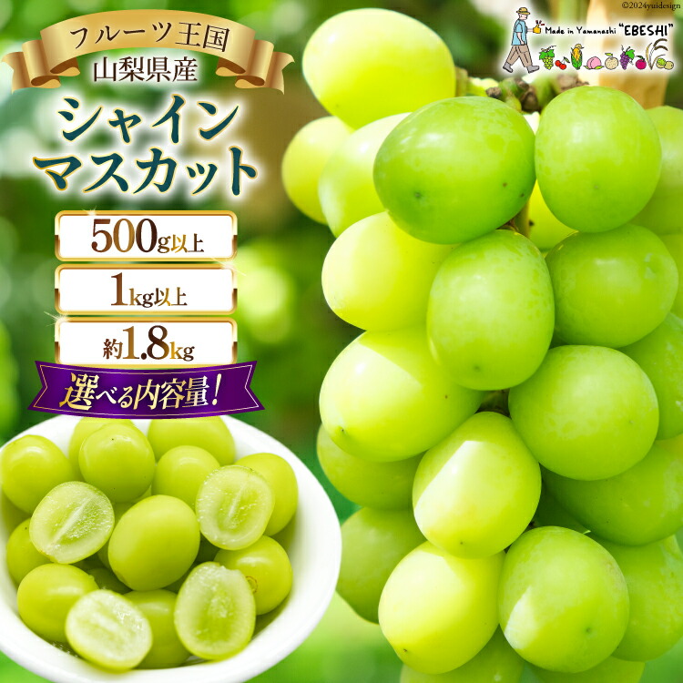 【ふるさと納税】【2025年発送】 ぶどう 山梨県産 シャインマスカット 選べる内容量 500g以上～約1.8kg(1房/2～3房)  [えべし 山梨県 中央市 21470730y] フルーツ 果物 くだもの ブドウ シャイン マスカット 葡萄 種なし 【2025年8月下旬～10月下旬発送予定】