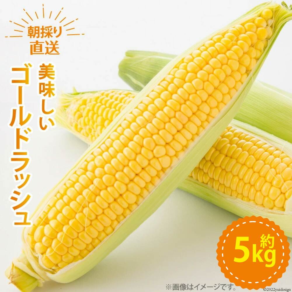 【ふるさと納税】【期間限定発送】 野菜 ゴールドラッシュ 約5kg [ラハマン農園 山梨県 中央市 21470839] トウモロコシ とうもろこし やさい  期間限定 季節限定 数量限定 産地直送 【2025年6月上旬～6月下旬発送予定】