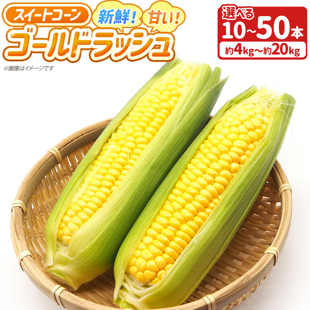 【ふるさと納税】＜選べる内容量＞新鮮！甘い！スイートコーン ゴールドラッシュ 「道の駅とよとみ」より厳選したものを出荷！ 10本（約4kg） / 【3個口】50本（約20kg） とうもろこし トウモロコシ 野菜 国産 山梨県産 中央市 送料無料 【2026年6月上旬～7月上旬発送予定】