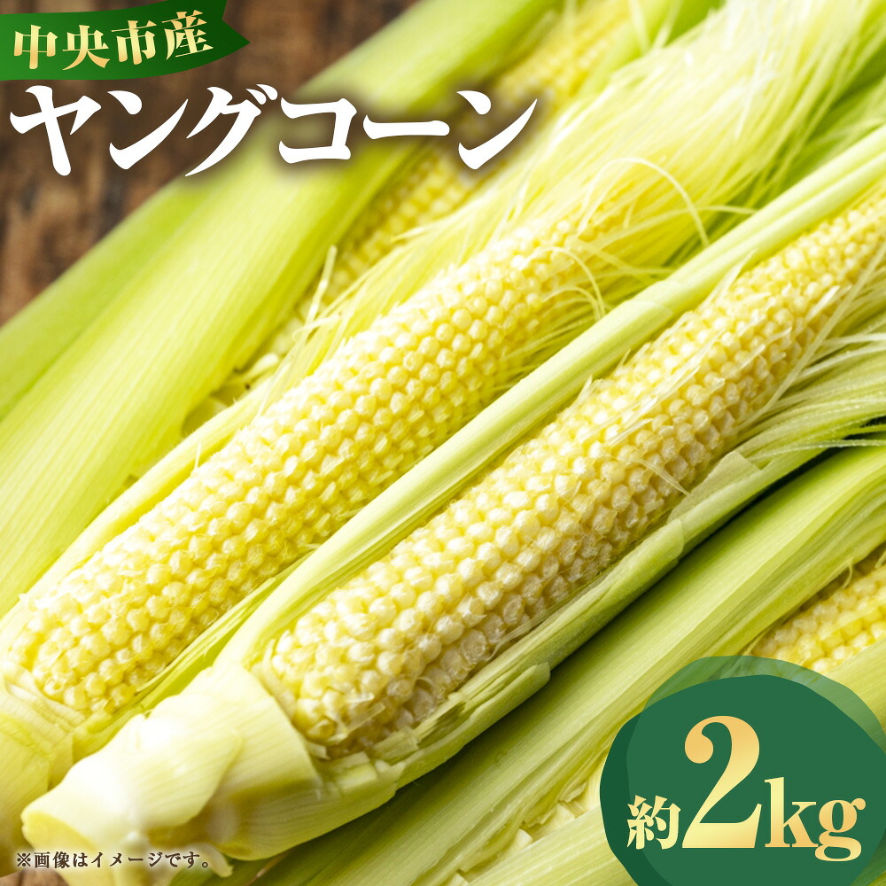 【ふるさと納税】中央市産 ヤングコーン 約2kg とうもろこし トウモロコシ 野菜 やさい サラダ 冷蔵 山梨県産 国産 山梨県 中央市 送料無料 【2026年5月下旬発送予定】