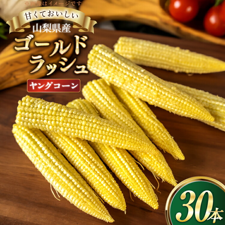 【ふるさと納税】とうもろこし ゴールドラッシュ ヤングコーン 30本入り [さとう農園 山梨県 中央市 21471038] トウモロコシ スイートコーン 甘い コーン 野菜 【2025年6月上旬～7月下旬発送予定】