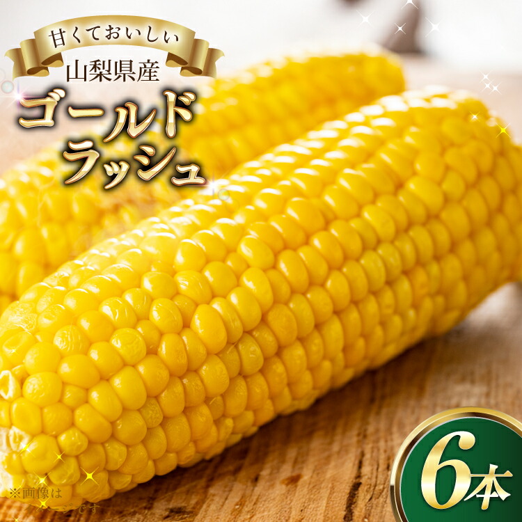 【ふるさと納税】とうもろこし ゴールドラッシュ 6本 [さとう農園 山梨県 中央市 21471040] トウモロコシ スイートコーン 甘い コーン 野菜 【2025年6月下旬～7月下旬発送予定】