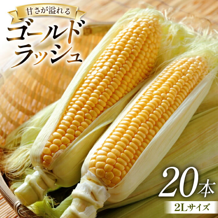 【ふるさと納税】【期間限定発送】 とうもろこし ゴールドラッシュ 20本入り 2Lサイズ 山梨県中央市産 [アクロプラス 山梨県 中央市 21471051] トウモロコシ スイートコーン 甘い コーン 野菜 【2025年6月上旬～6月下旬発送予定】