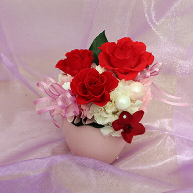 ふるさと納税 リアンプリザーブドフラワー リトル情愛 植物 お御花 花 処理花 バラ ローズ 相貌賞用 Maavalanindiatravels Com