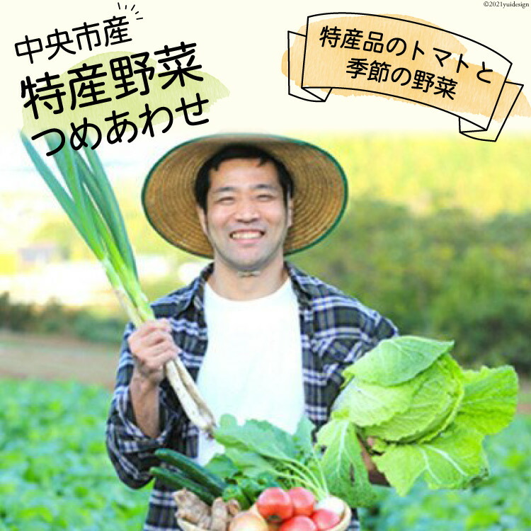 【ふるさと納税】中央市産 特産 野菜詰合せ トマトと季節の野菜詰め合わせ  [た・から 山梨県 中央市] 野菜 やさい 詰合せ 詰め合わせ とまと トマト ミニトマト きゅうり 玉ねぎ たまねぎ 芋 いも 野菜セット 旬