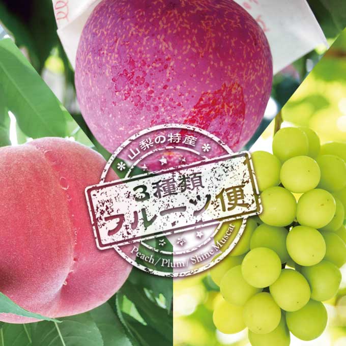 【ふるさと納税】【3回定期便】山梨の特産 ３種 フルーツ 定期便 桃 約1.8kg 貴陽 約1.5kg シャインマスカット 約1.8kg [築宝 山梨県 中央市 21470735] モモ 桃 もも シャイン マスカット フルーツ すもも プラム 果物 【2025年6月下旬～10月上旬発送予定】