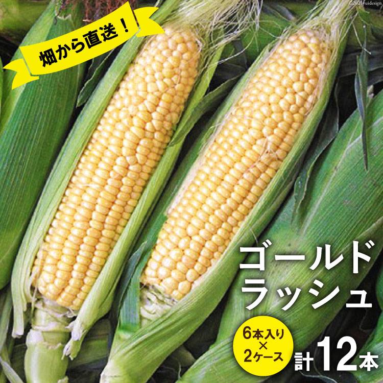 【ふるさと納税】【2025年発送】 スイートコーン (ゴールドラッシュ) 12本 [株式会社えべし 山梨県 中央市 21470248] とうもろこし トウモロコシ コーン やさい 野菜 旬野菜 旬 季節限定 期間限定 冷蔵 【2025年7月上旬～7月下旬発送予定】