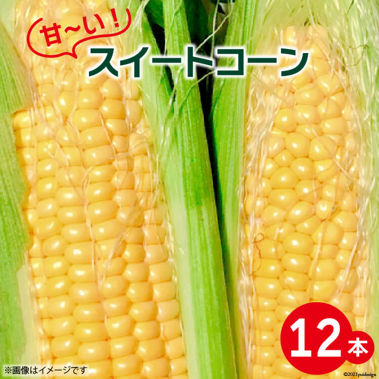 【ふるさと納税】【期間限定発送】 甘～い ! スイートコーン 12本 [よしろーさんちの農園 山梨県 中央市] とうもろこし トウモロコシ コーン やさい 野菜 旬野菜 旬 季節限定 期間限定 冷蔵 【2025年6月上旬～7月上旬発送予定】