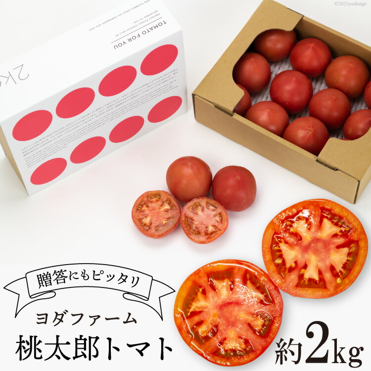 【ふるさと納税】【2025年発送】 春作 トマト 桃太郎 約2kg [ヨダファーム 山梨県 中央市 21470974] とまと 野菜 やさい 2キロ 季節限定 期間限定 産地直送 山梨県産 【2025年4月上旬～6月下旬発送予定】