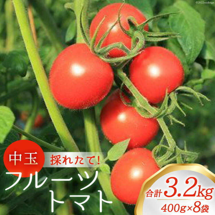 【ふるさと納税】【期間限定発送】新鮮！中玉フルーツトマト400g×8袋 [農事組合法人 た・から 山梨県 中央市 21471022] とまと トマト フルーツトマト 中玉トマト 野菜 やさい 新鮮 産地直送 数量限定 期間限定 【2025年10月下旬～2026年2月上旬発送予定】