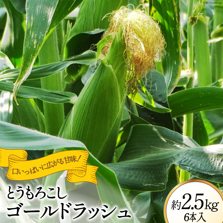 【ふるさと納税】【2025年発送】 とうもろこし ゴールドラッシュ 約2.5kg 6本入  [JAふえふき 山梨県 中央市] やさい 野菜 トウモロコシ コーン 2.5キロ 6本 季節限定 期間限定 数量限定 山梨 山梨県産 【2025年6月上旬～6月下旬発送予定】
