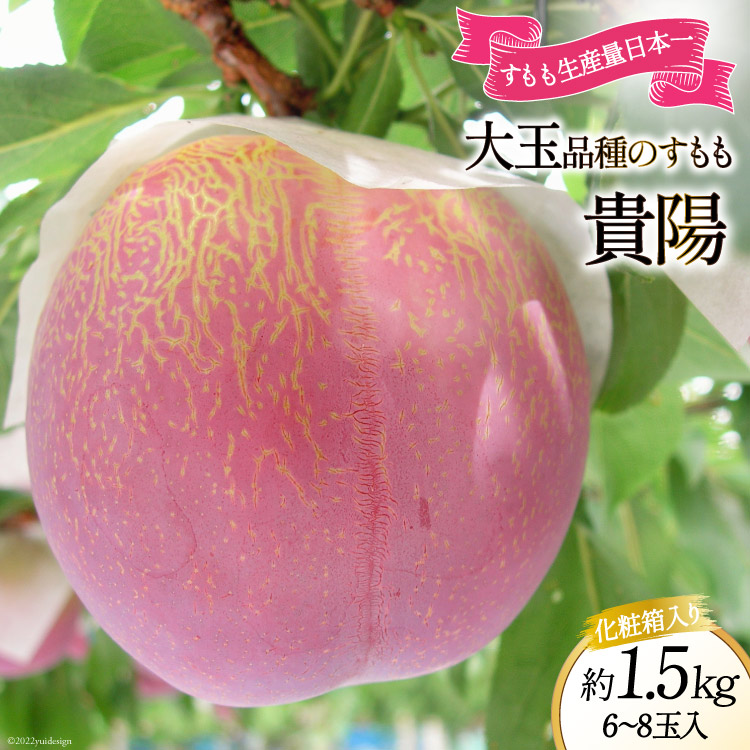 【ふるさと納税】【2025年発送】 すもも 貴陽 約1.5kg 化粧箱入 6-8玉 [JAふえふき 山梨県 中央市 21470470] フルーツ 果物 くだもの 1.5キロ 季節限定 期間限定 数量限定 山梨 山梨県産 【2025年7月上旬～7月下旬発送予定】