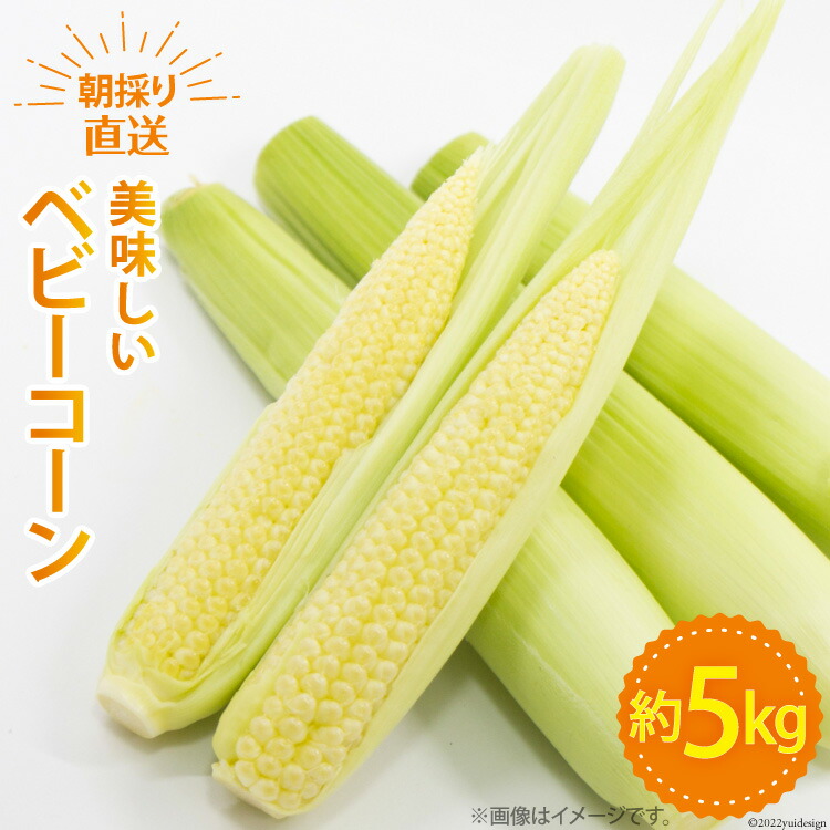 【ふるさと納税】【期間限定発送】 野菜 ベビーコーン 約5kg [ラハマン農園 山梨県 中央市 21470819] トウモロコシ とうもろこし ベビーコーン ヤングコーン 大容量 期間限定 季節限定 数量限定 産地直送 【2025年5月上旬～5月下旬発送予定】
