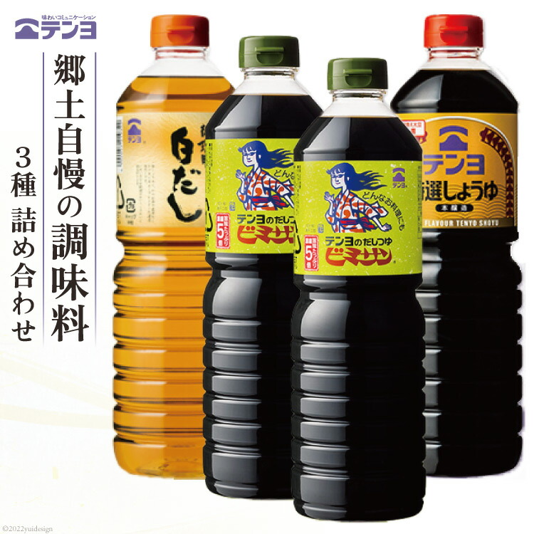 【ふるさと納税】調味料 テンヨ 定番 3種セット 特選しょうゆ & だしつゆビミサン & 白だし TS-30B / 武田食品 / 山梨県 中央市