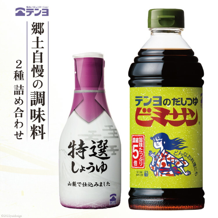 【ふるさと納税】調味料 テンヨ お試し 2種セット 特選しょうゆ & だしつゆビミサン 詰め合わせ TP-10B / 武田食品 / 山梨県 中央市 醤油 出汁 だし つゆ セット