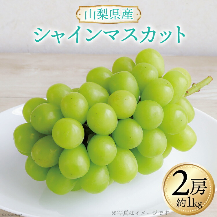 美品 山梨県産 シャインマスカット 2房 計約1kg《9月後半〜10月後半出荷》 ぶどう ブドウ 葡萄 期間限定 納見ファーム 山梨県 中央市  fucoa.cl