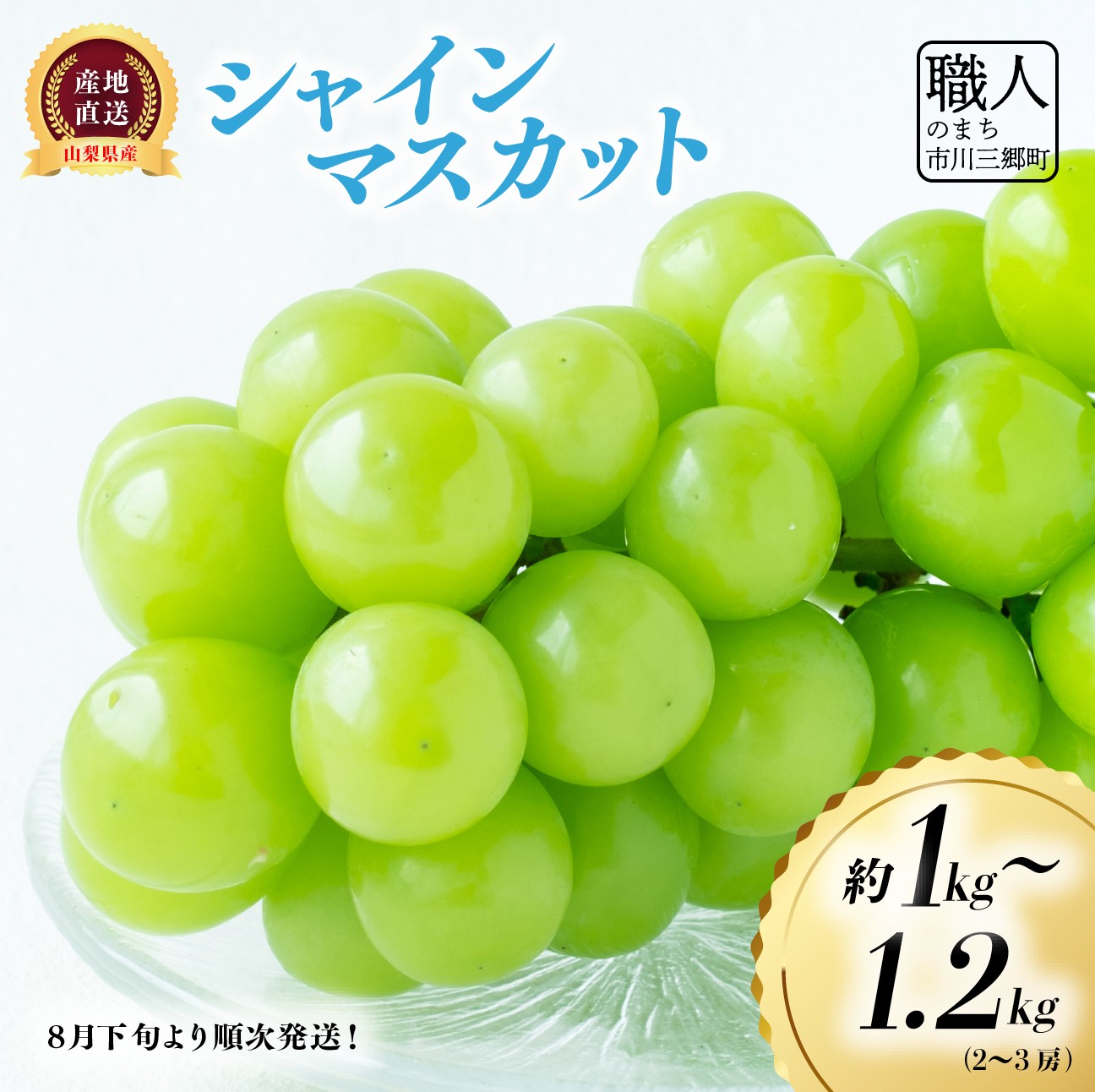 【ふるさと納税】【2025年8月下旬から発送！】市川三郷町産 シャインマスカット 約1～1.2kg（2～3房） 村松農園 [5839-2236]