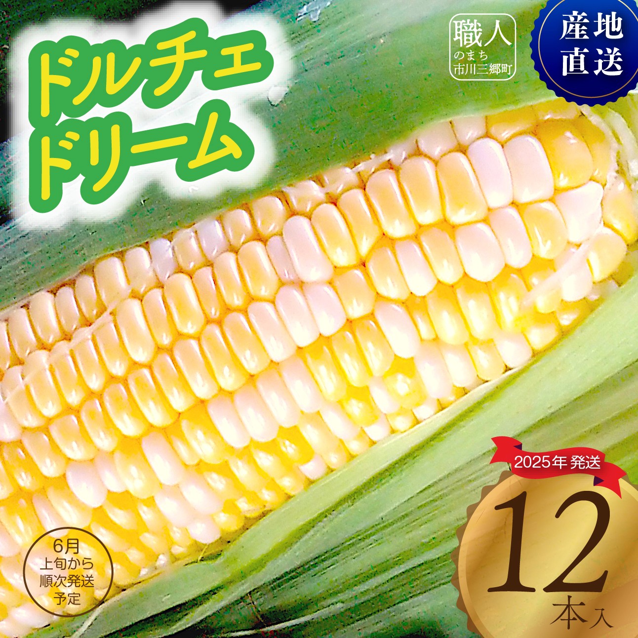 【ふるさと納税】2025年6月上旬発送【朝採り】とうもろこし　ドルチェドリーム　12本入り 杉山農園[5839-2181]