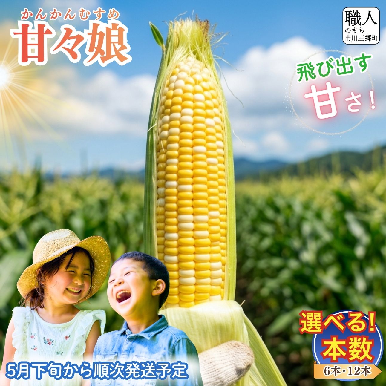 【ふるさと納税】2026年5月下旬から発送【朝採り】甘々娘 とうもろこし 選べる 本数 2Lサイズ ヒルサイドオーチャード 先行予約 先行受付 先行トウモロコシ とうもろこし スイートコーン 旬 季節 夏野菜 野菜 産地直送 採れたて 朝採り 山梨 市川三郷町 市川三郷 BBQ 甘い
