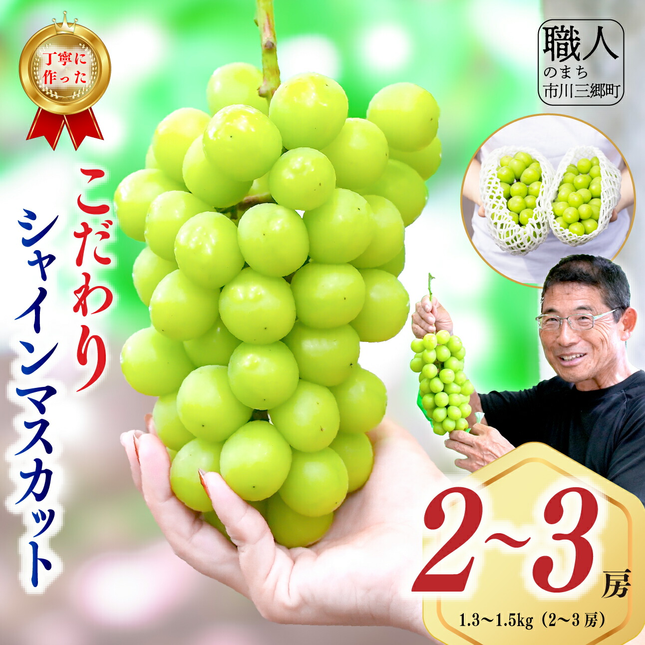 【ふるさと納税】シャインマスカット 2026年発送 山梨 1.3～1.5kg (2～3房) ぶどう 葡萄 山梨県 フルーツ 果物 くだもの ギフト 産地直送 人気 ないとうぶどうファーム 先行予約 先行受付 先行 ぶどう ブドウ 葡萄 マスカット 果物 くだもの [5839-1926]