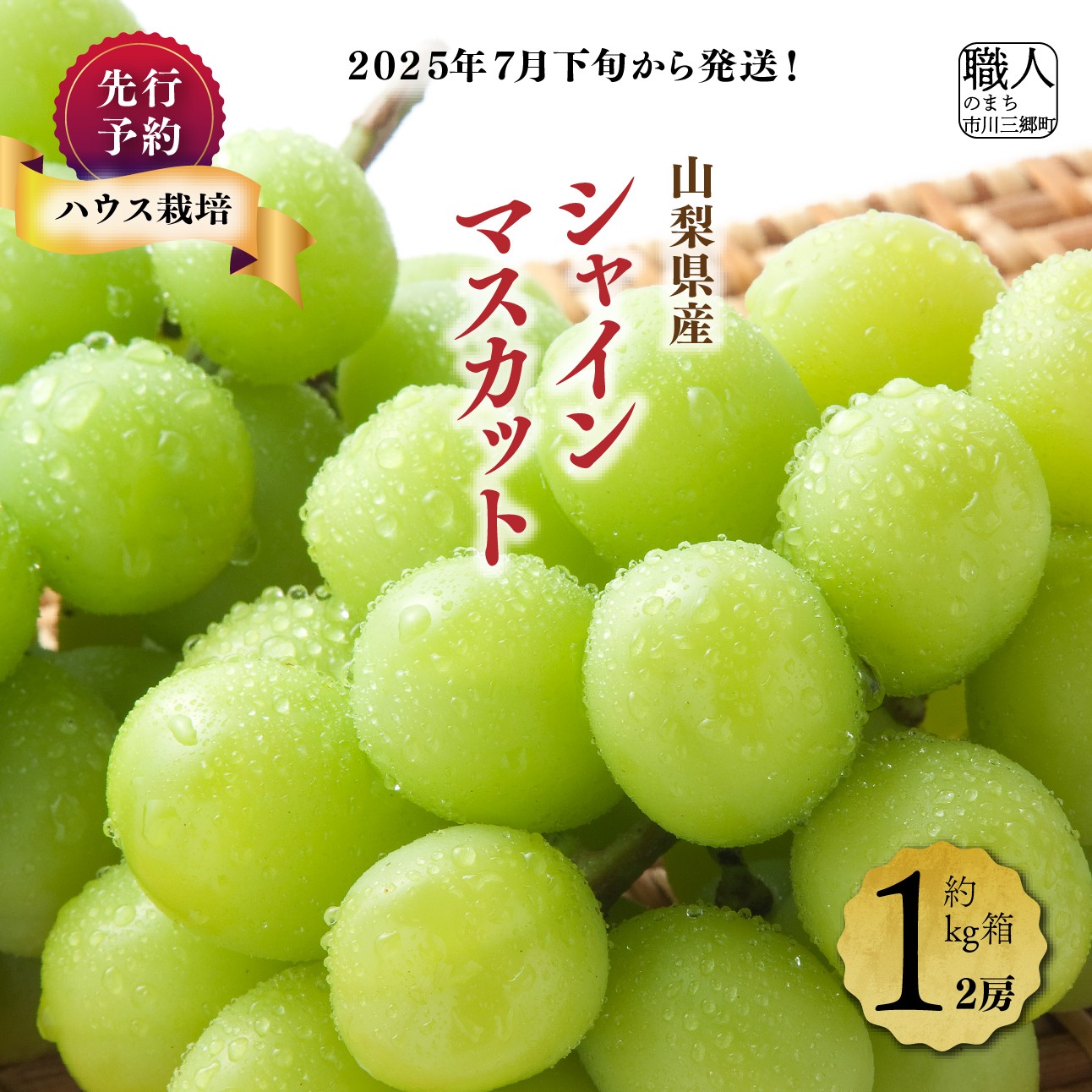 【ふるさと納税】ハウス栽培で旬の味を一足早くお届け！【2025年７月下旬から発送】山梨県産シャインマスカット１kg（２房程度）丹澤農園[5839-1073]
