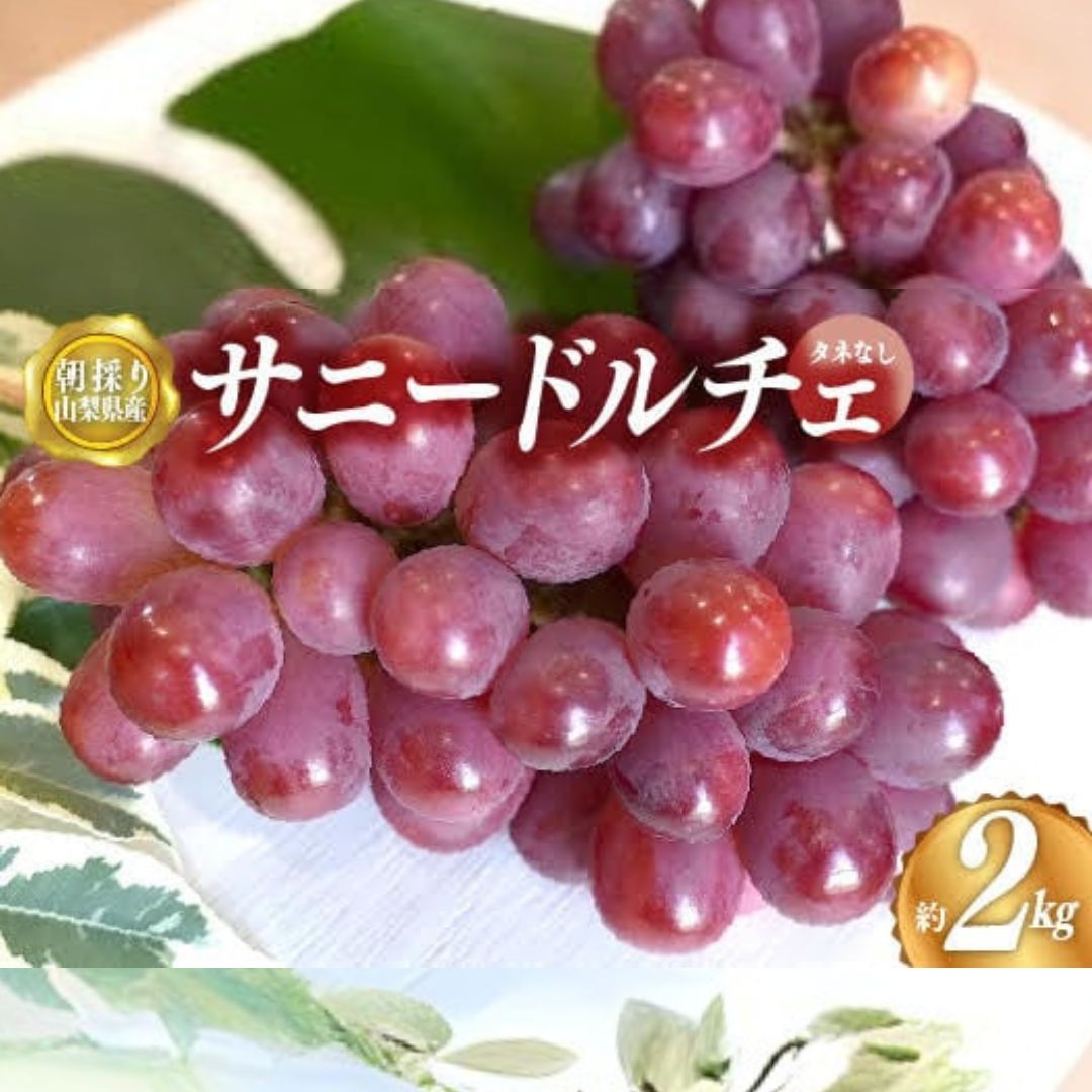 【ふるさと納税】【2025年8月下旬から発送】朝採り！タネなしサニードルチェ　2kg箱　小沢農園[5839-1226]