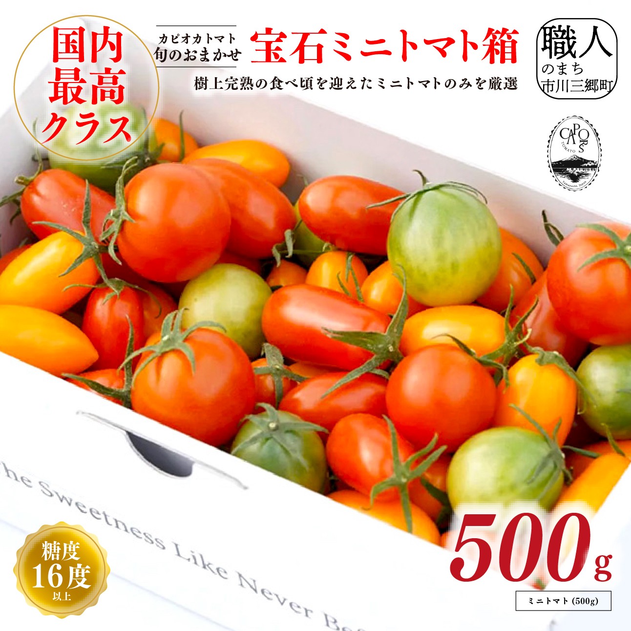 【ふるさと納税】【山梨県南部町 共通返礼品】【カピオトマト】旬のおまかせ宝石ミニトマト箱 500g 株式会社アクロプラス [5839-2224]