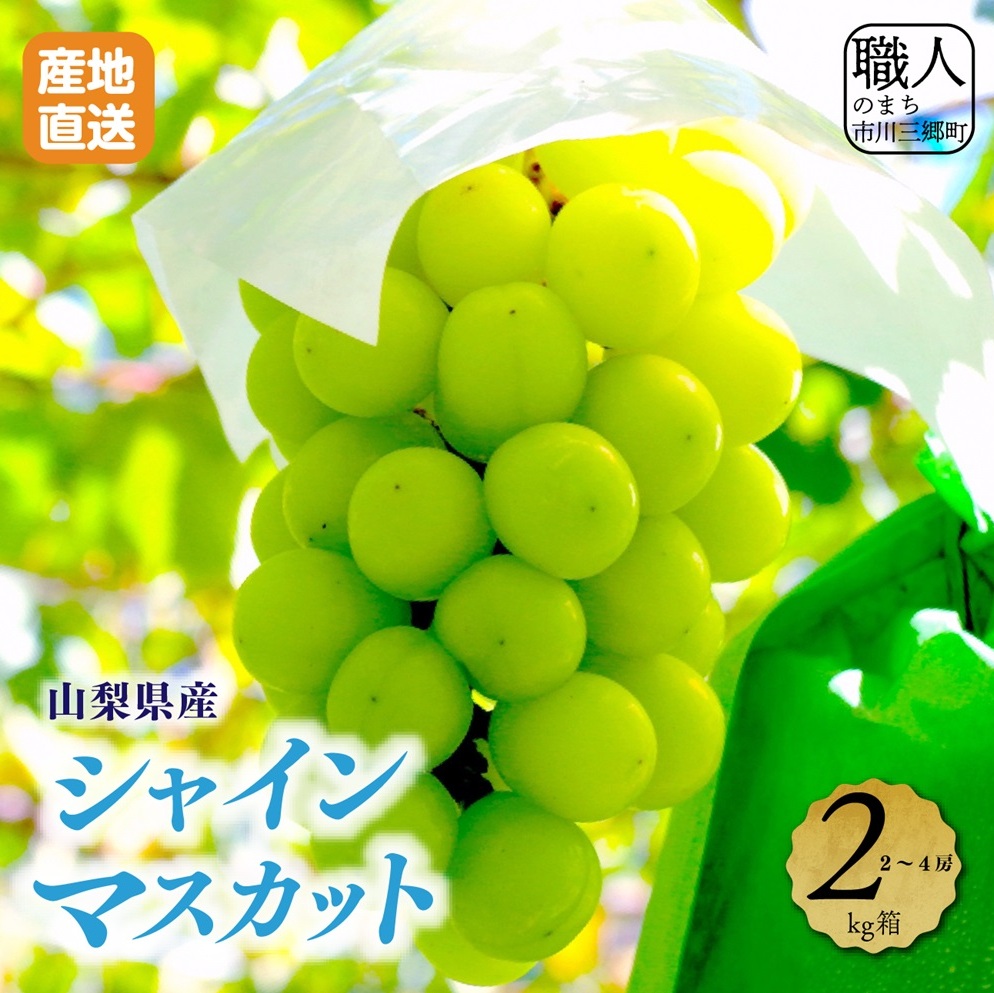 【ふるさと納税】【先行予約】山梨県産シャインマスカット　2キロ箱 【2025年9月上旬から発送】 薬袋農園[5839-1001]