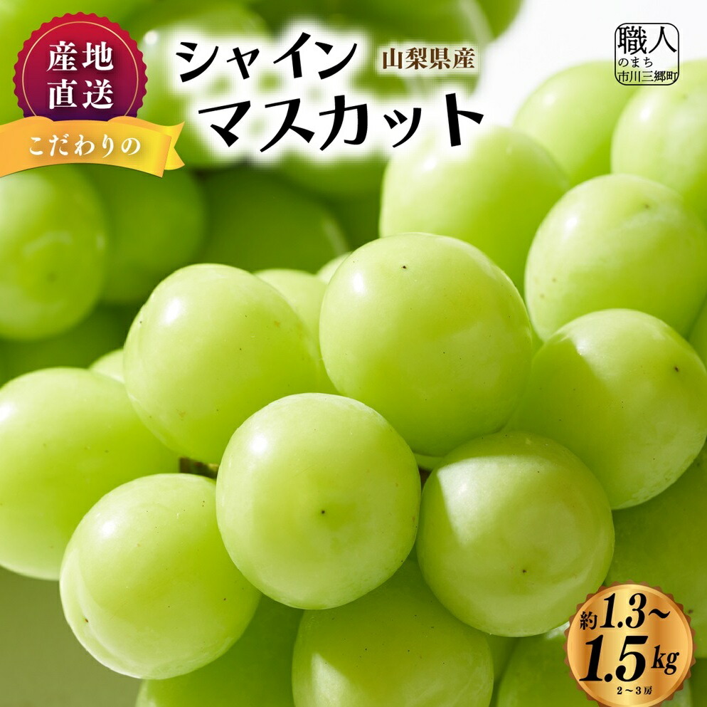 【ふるさと納税】【産地直送】山梨県産：シャインマスカット　1.3~1.5箱(2~3房)　ないとうぶどうファーム [5839-1926]　【果物類・フルーツ・果物類・ぶどう・マスカット・フルーツ】