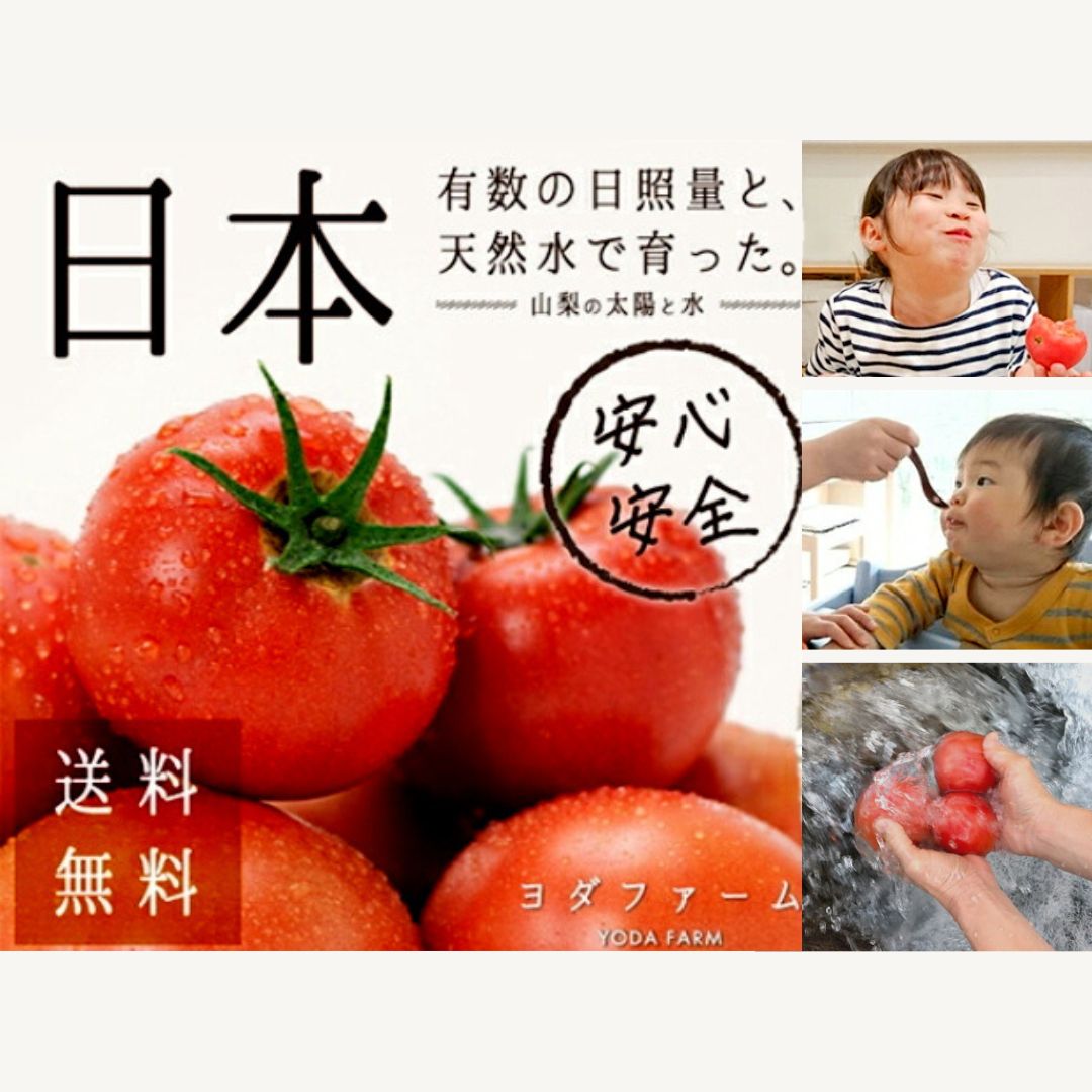 【ふるさと納税】【中央市共通返礼品】2025年4月から発送　トマト 約2kg 先行予約 送料無料  贈答にも おまけ付き ヨダファーム ジュース ソースにも [5839-2128]